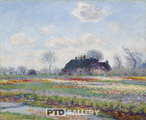 Cánh đồng hoa Tulip tại Sassenheim (1886) Claude Monet