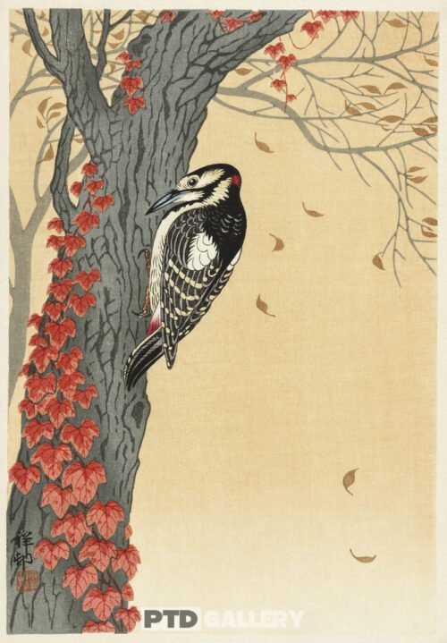 Chim gõ kiến ​​đốm lớn trên cây thường xuân đỏ (1925-1936) Ohara Koson