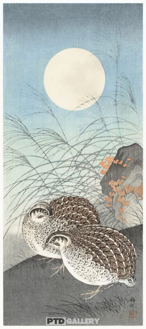 Hai con chim cút vào ngày rằm (1900 - 1936) Ohara Koson đ