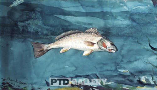 Kênh Bass (1904) Winslow Homer