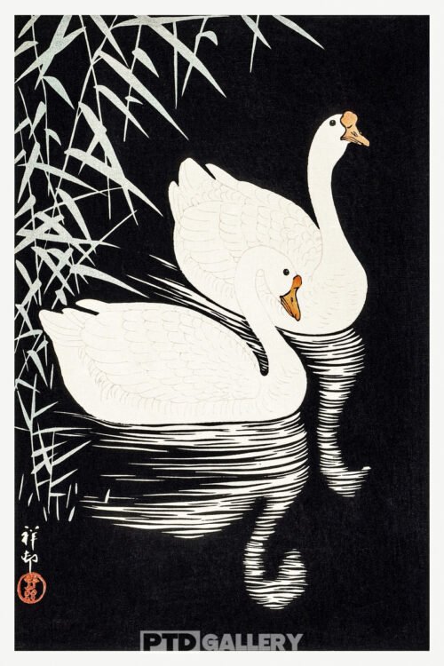 Ngỗng trắng bơi bên đám lau sậy (1928) Ohara Koson 1